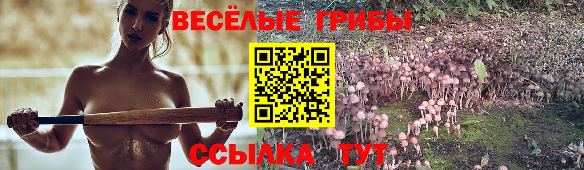 Галлюциногенные грибы MAGIC MUSHROOMS  Вход с VPN  сколько стоит  Псков  Галлюциногенные грибы прущие грибы 