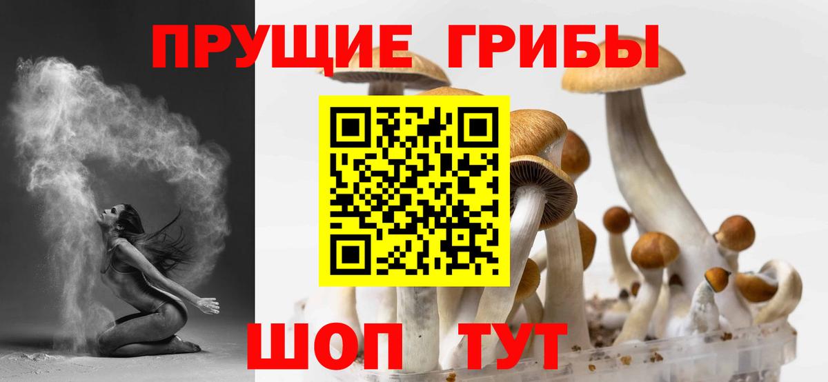 Галлюциногенные грибы MAGIC MUSHROOMS Псков